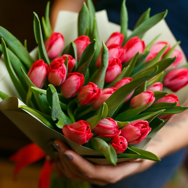 25 красных тюльпанов